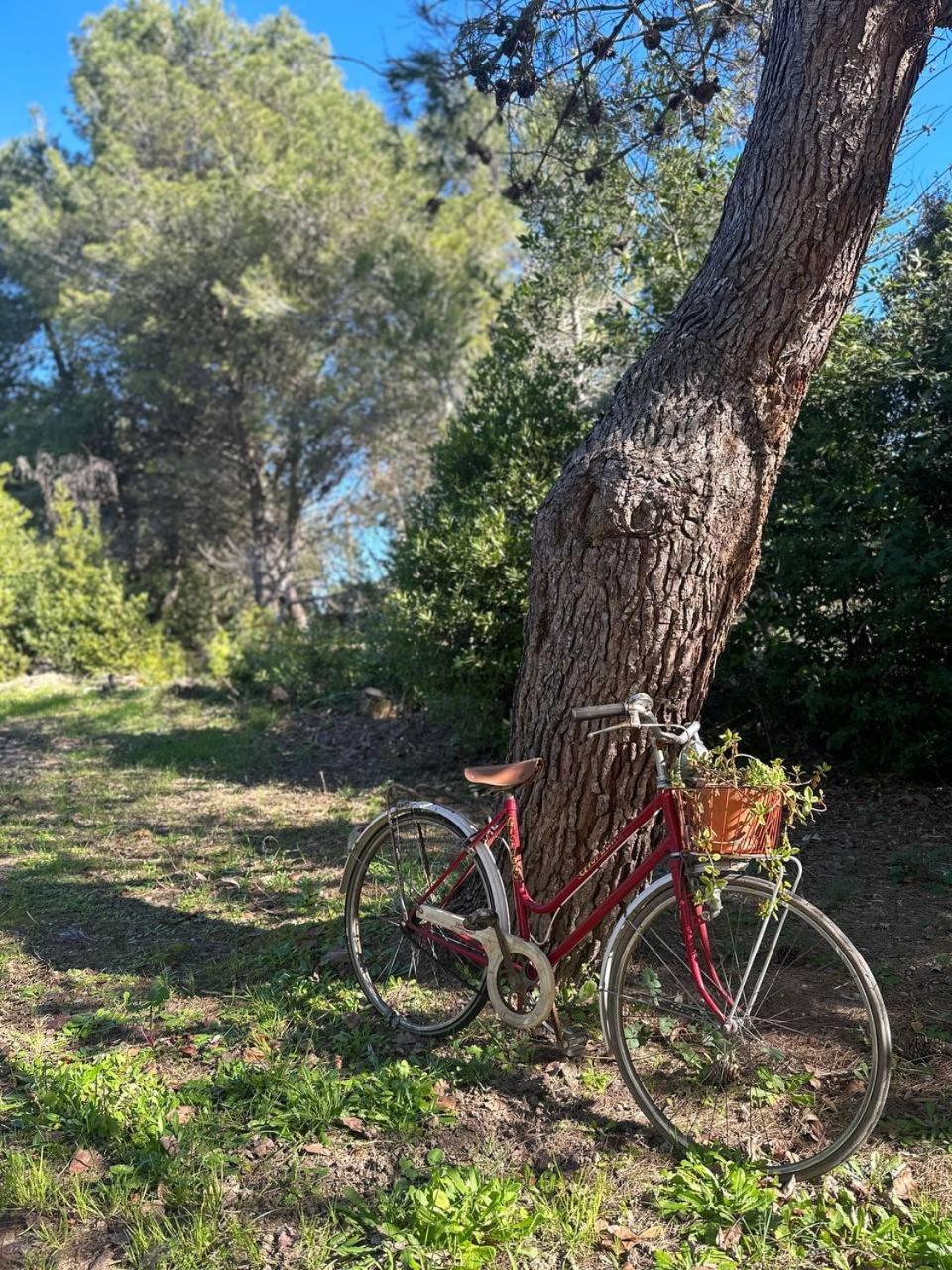 Villa Zoe Torre dell'Orso Luaran gambar